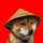 CHIDO logo