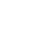 $IRL logo