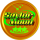 SAYLOR logo