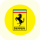 RRACE logo
