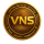 VNS logo