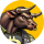 BTCBULL logo