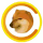 CHEEMS logo