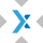 EXEX logo