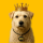 KING logo