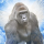 HARAMBE logo