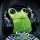 FROG logo