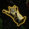 Sliding Cat