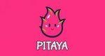 PITAYA logo