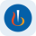 RNVS logo