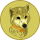 IZUMI logo