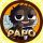 PAPO logo