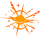 LFC logo