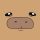 CAPY