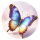 妖蝶 logo