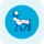 RNVO logo