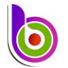 BITOK logo