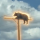 BOP logo