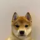 DOG logo