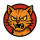 FURY logo