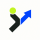 FLW logo