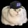 fomocat