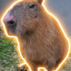 CAPYBARA logo
