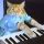 KEYCAT logo