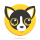 HUAHUA