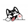 HUSKY