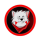KIBA logo