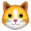 KIF logo