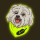 BRODIE logo