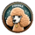 POODLE logo