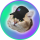 SOLCAT logo