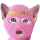 SKICAT logo