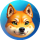 MOON logo