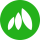 MNT logo
