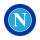 NAP logo