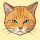 Cat Mayor