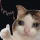 THUMB logo
