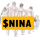 NINA logo