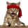 Rambo Kitten