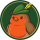 ROBIN logo