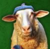 SWIF logo