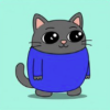 SMOLCAT logo