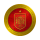 SNFT logo