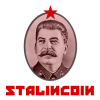 STALIN logo
