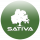 STV logo