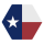 TEXAN logo